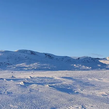Nydeleg Selveierleilighet Pa